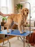 The At-Home Grooming Station